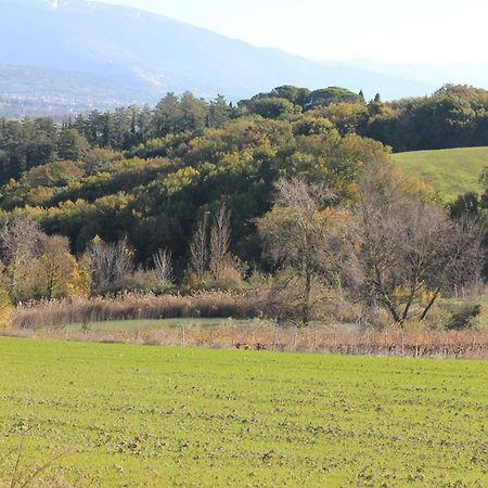 Agriturismo La Ginestrella Civitella D'Arna Exteriér fotografie