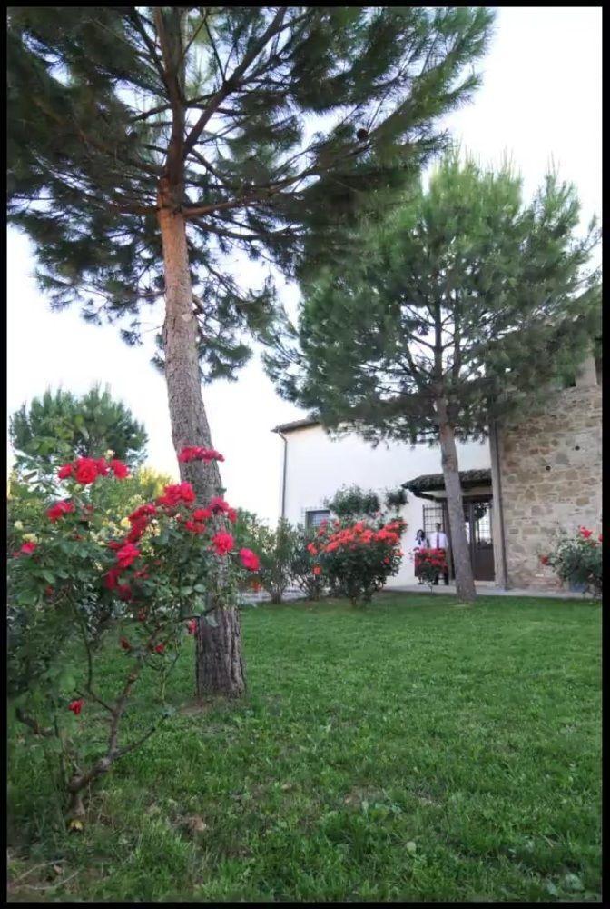 Agriturismo La Ginestrella Civitella D'Arna Exteriér fotografie