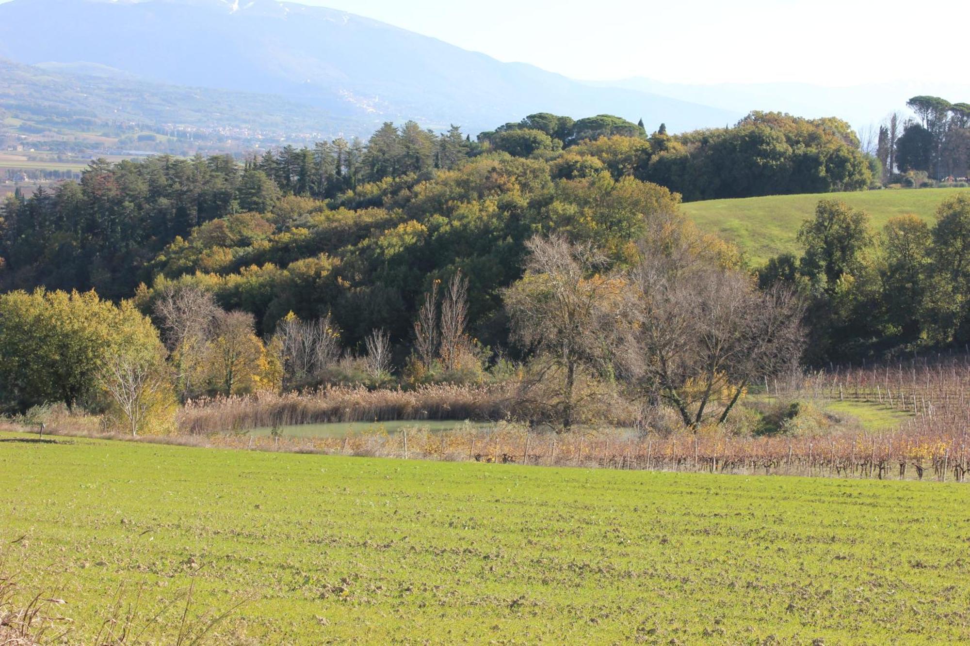 Agriturismo La Ginestrella Civitella D'Arna Exteriér fotografie