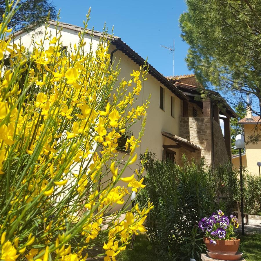 Agriturismo La Ginestrella Civitella D'Arna Exteriér fotografie